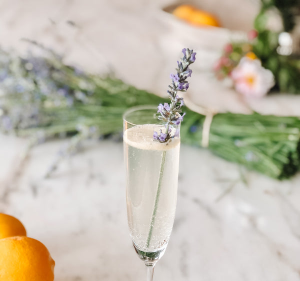 Photo of Sonoma Lavender & Meyer Lemon French 75 Cocktial with sprigs of lavender and fresh lemons being the flute
