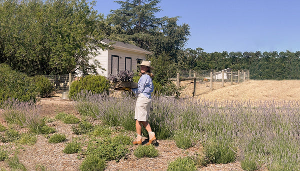Karin Campion, Founder of Sonoma Syrup Co. walking through lavender field in Sonoma Valley, California