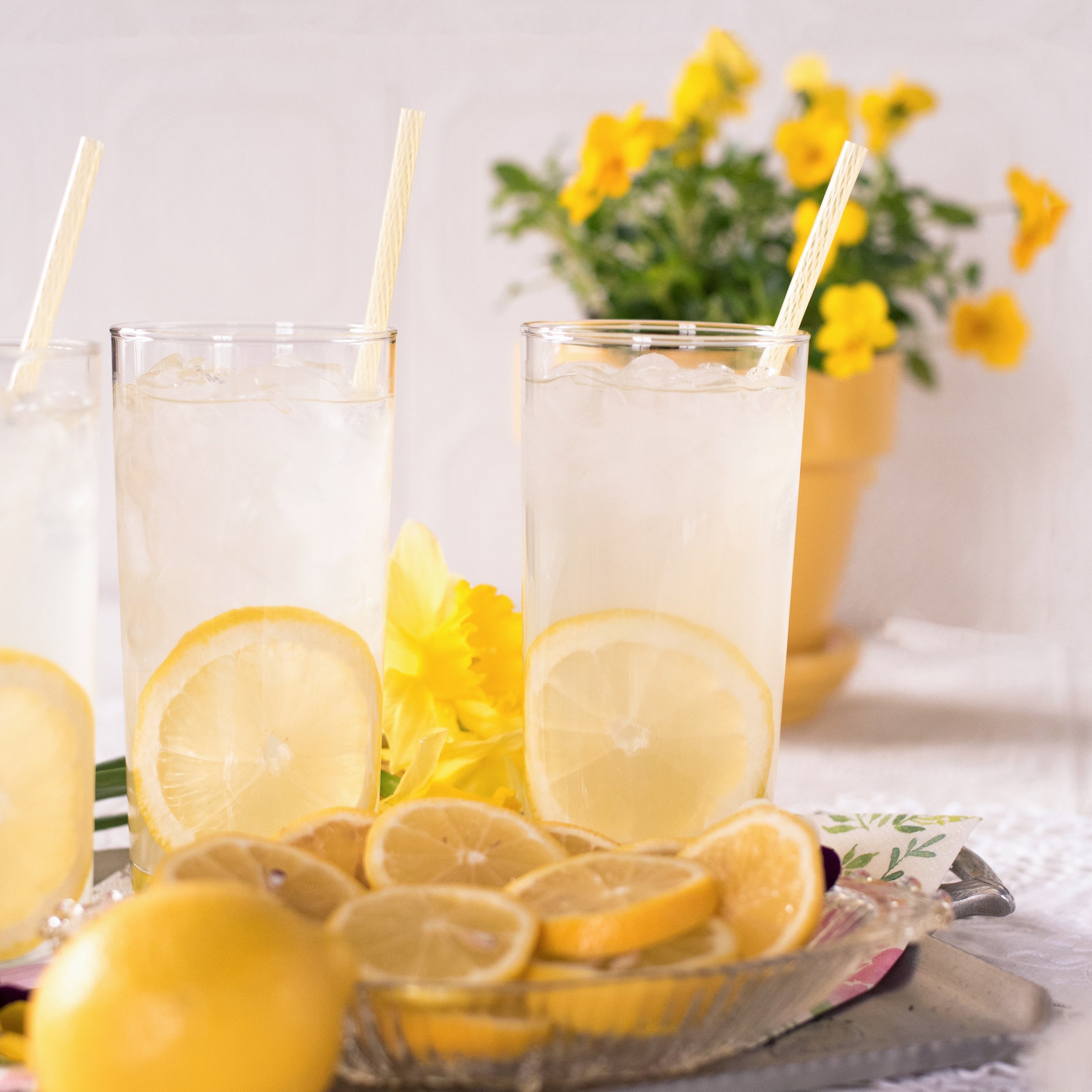 White Ginger Lemonade - Sonoma Syrup Co.