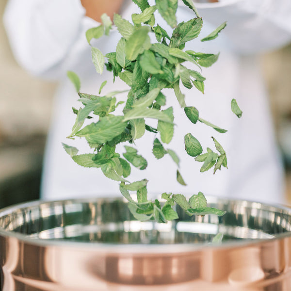 Picture of hands tossing fresh spearmint leaves in Sonoma, California